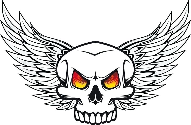 800x522 How To Draw A Skeleton Head Draw Skulls Can Be This Easy How Can