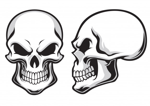 626x442 Skull Vectors, Photos And Free Download