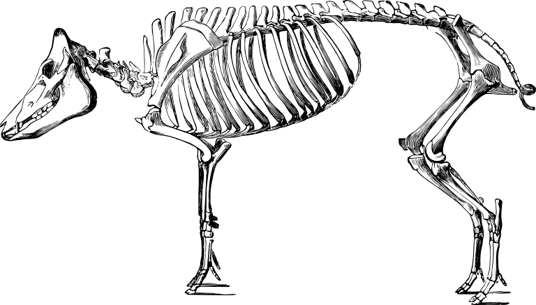 768x438 stir fry central line drawings