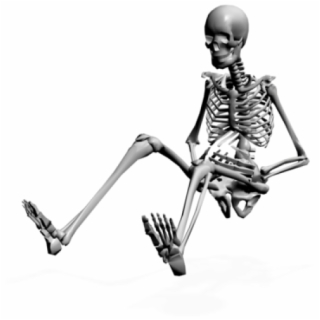 320x320 Hd Funny Skeleton Png Transparent Background
