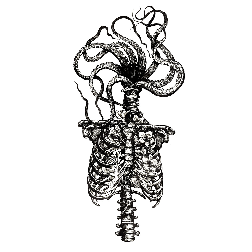 1000x1000 Curiosities