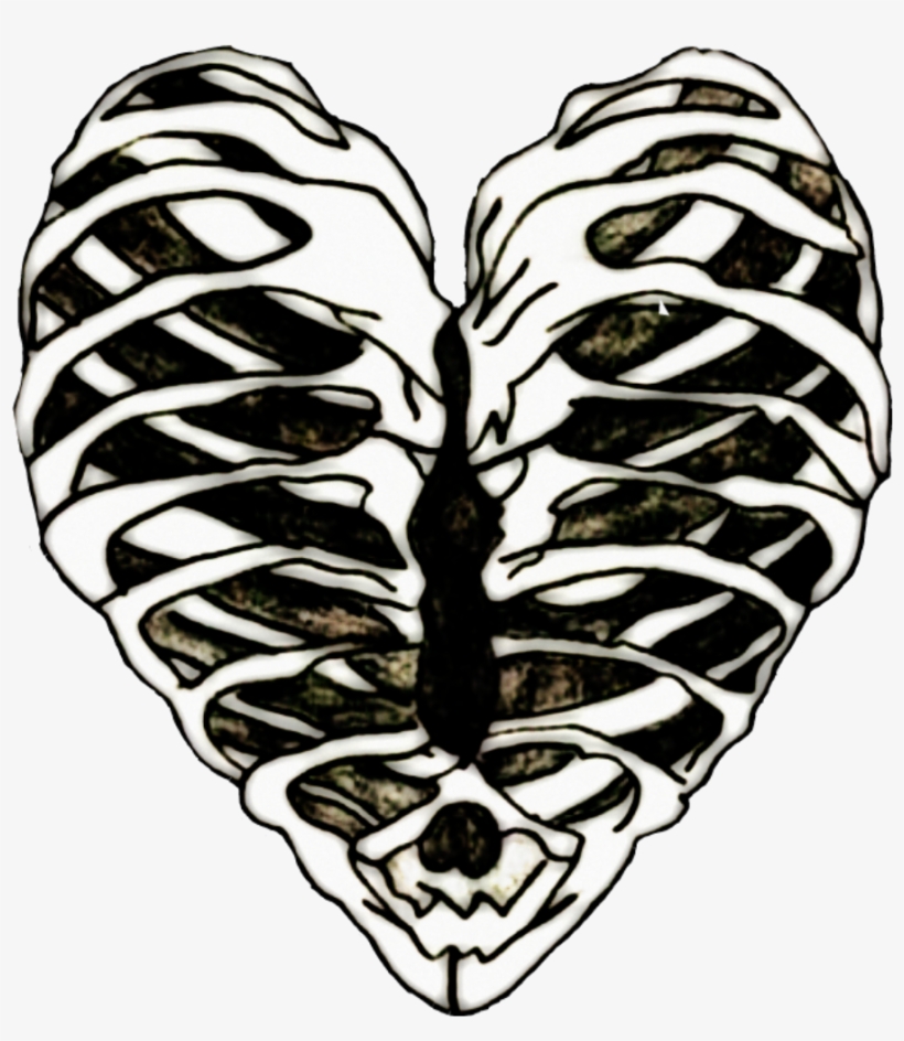 820x944 Edits Ribs Ribcage Heart Bones Art Stickers