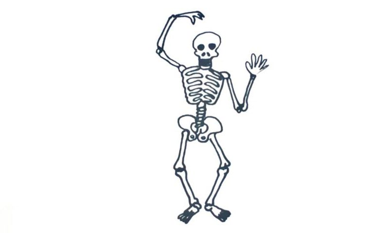 800x480 How To Draw A Skeleton