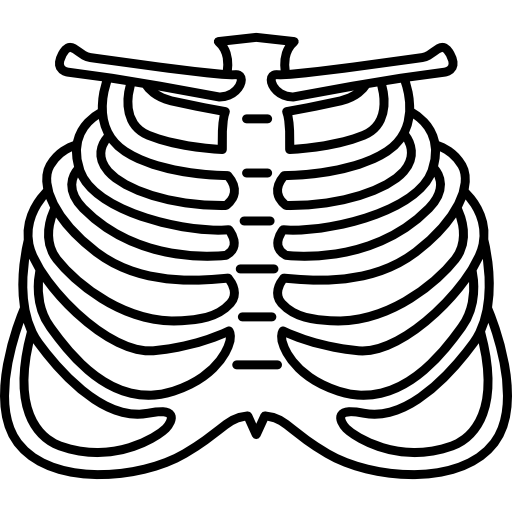 512x512 Ribs Vector Transparent Png Clipart Free Download