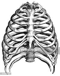 200x252 Caja Para Dibujar