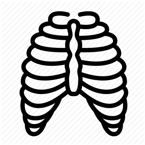 512x512 Anatomy, Body, Cage, Human, Organ, Rib, Skeleton Icon