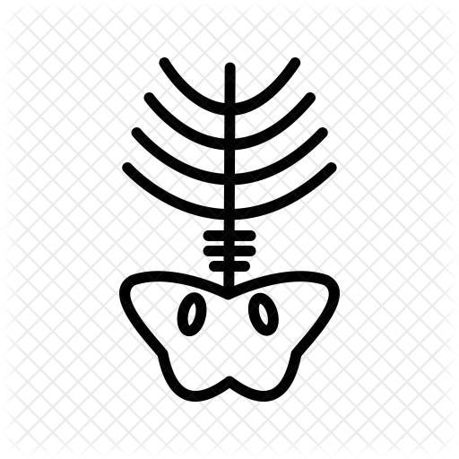 512x512 xray drawing bone, picture