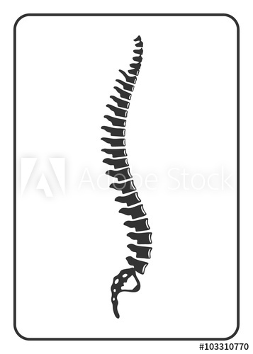 357x500 Human Spine Sign Black Silhouette Icon Isolated On White