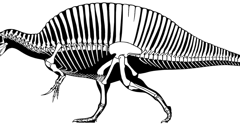 835x438 Revisiting The Fisher King Skeletal Drawing