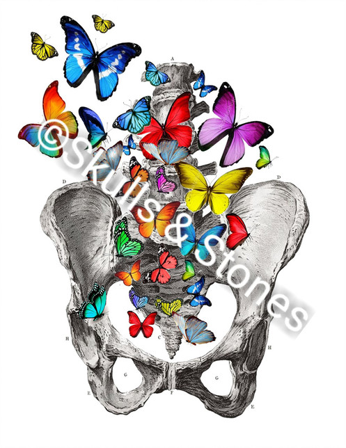 497x644 Skeleton Hips Spine With Butterflies Print