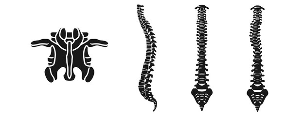 623x240 Spine Vector Photos, Royalty Free Images, Graphics, Vectors