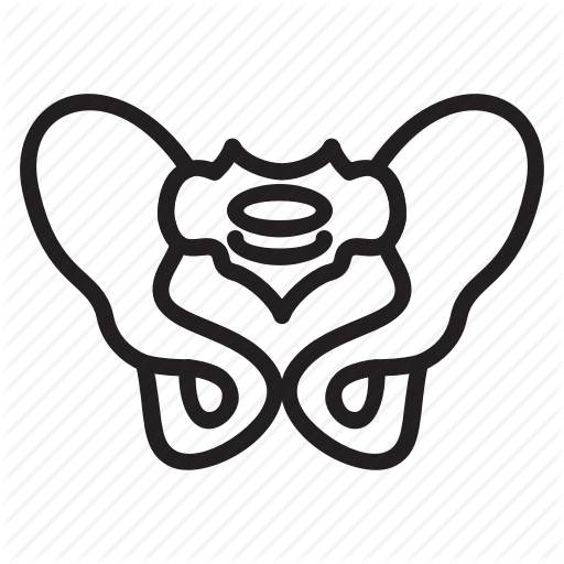 512x512 Bones, Joint, Organ, Pelvis, Skeleton, Spine Icon