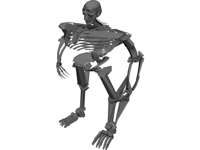 800x600 Warrior Skeleton Model