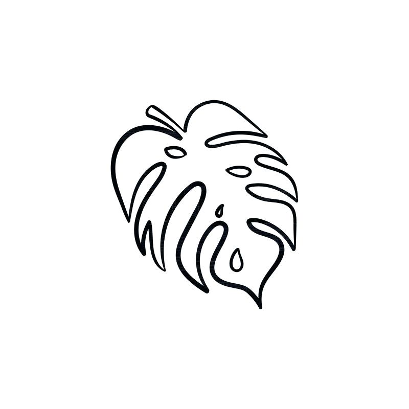 800x800 Palm Leaf Hand Drawn Vector Outline Doodle Icon Vector Sketch Palm