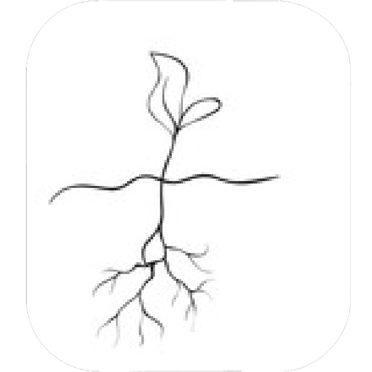 1200x1200 Designs Mein Mousepad Design Mousepad Selbst Designen