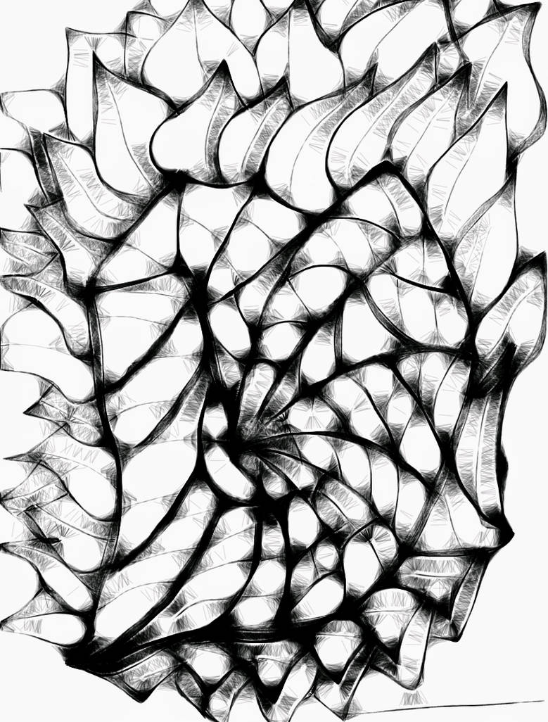 779x1026 Sketch Nature Flower And Leaves