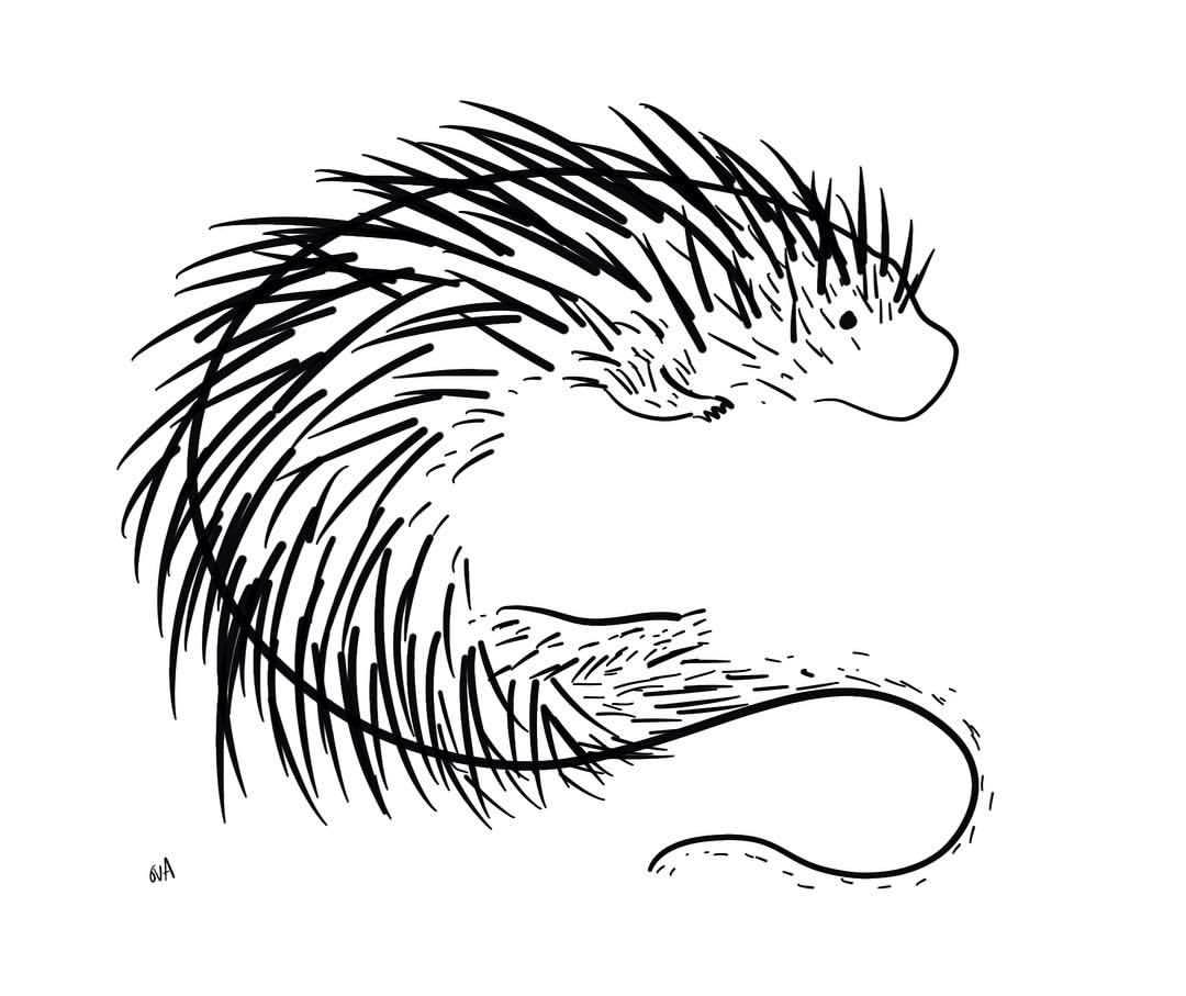 1080x907 Baggage Clam I Really Like Hares