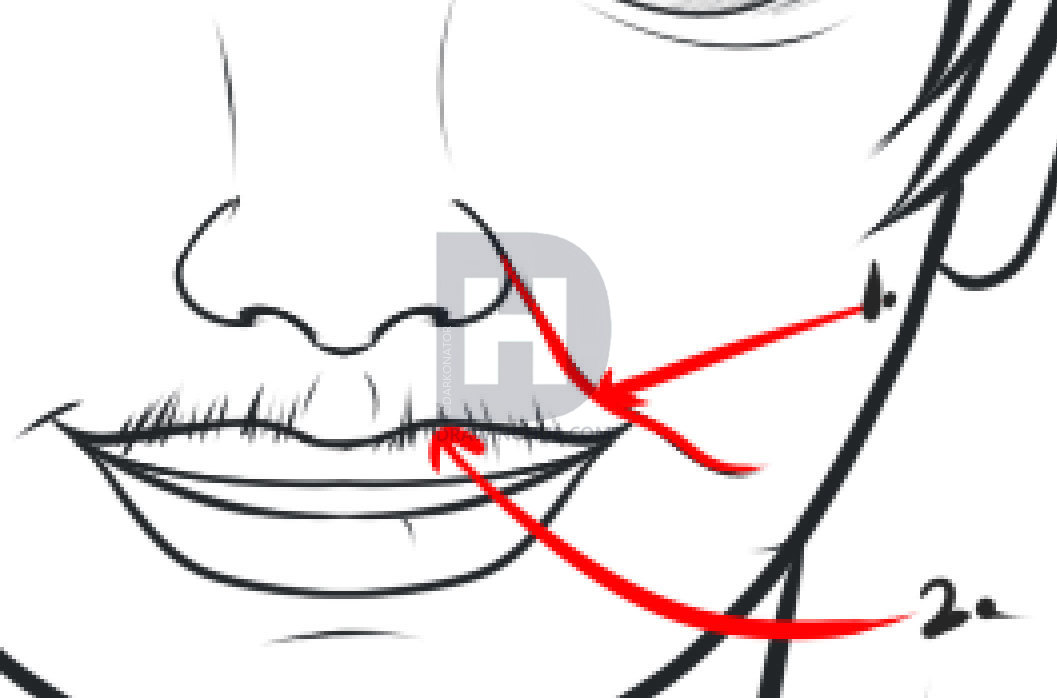 1057x698 How To Draw Skin, Step