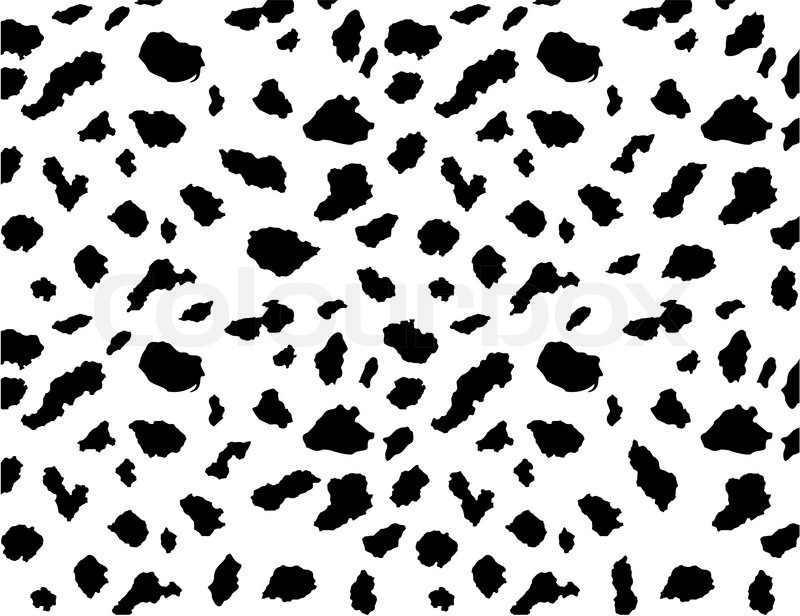 800x616 Dalmatian Texture Stock Vector Colourbox
