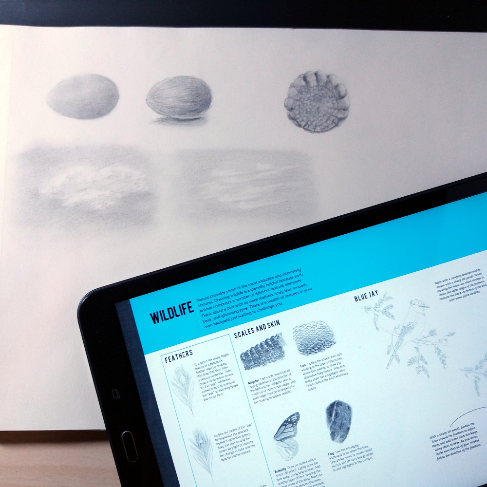 1000x1000 Drawing Basic Textures In Pencil