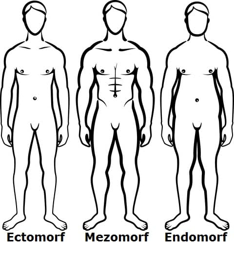 480x528 Customize A Workout Plan For You Based On Your Body Type Edomorph