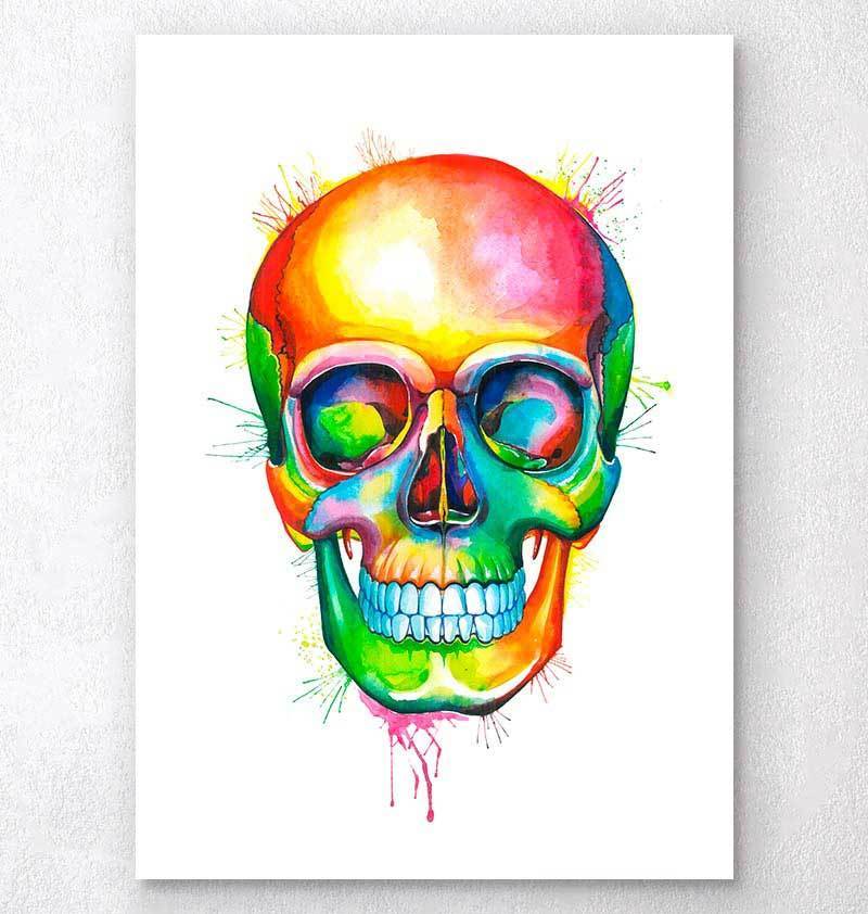 800x842 Skull Anatomy Art Codex Anatomicus