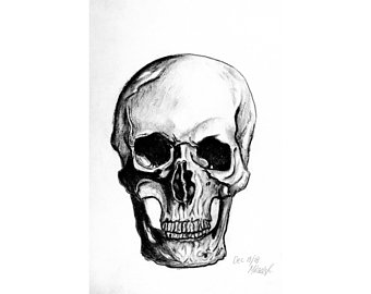 340x270 Skull Sketches Etsy