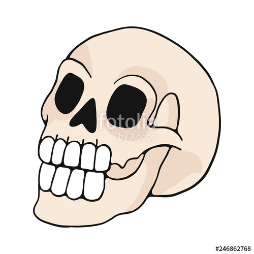 500x500 Human Skull Cartoon Vector Illustration Motif Set Hand Drawn