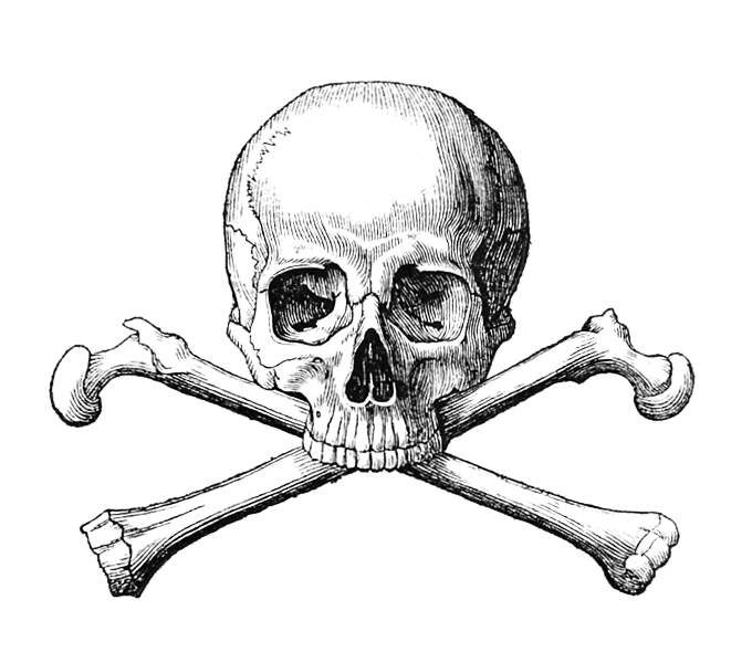 680x600 Image Result For Skull Crossbones Ice Pyrate Skulls