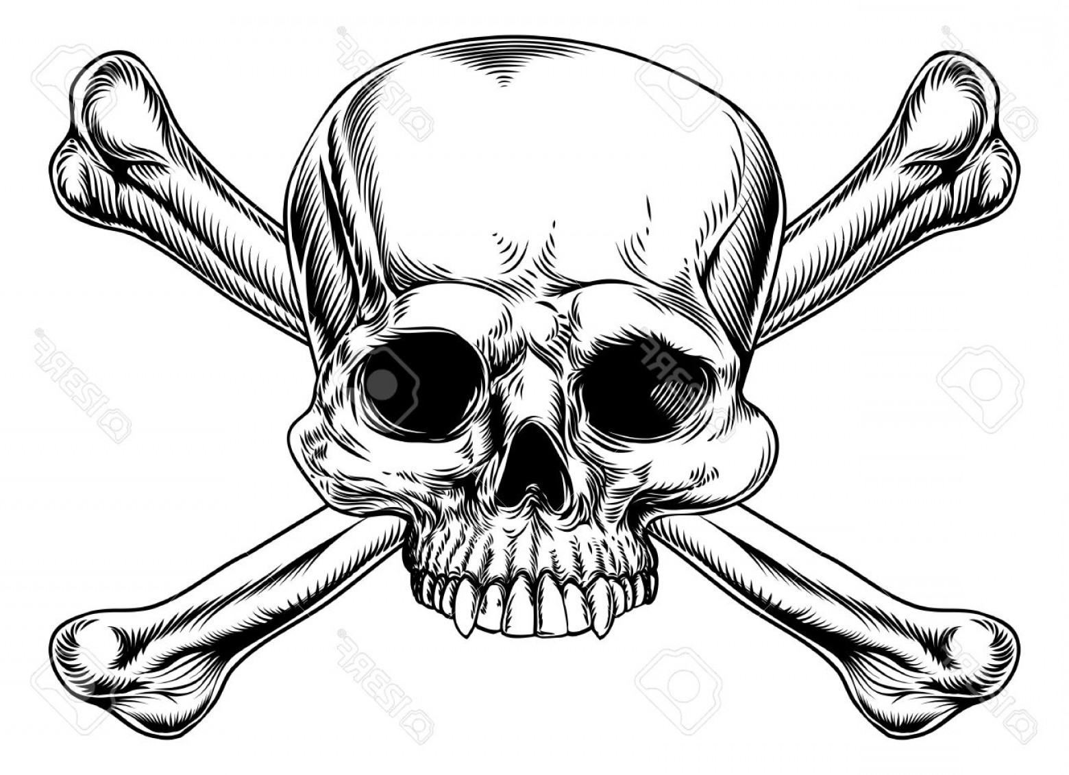 1560x1131 Photostock Vector Skull And Crossed Bones Drawing In A Vintage