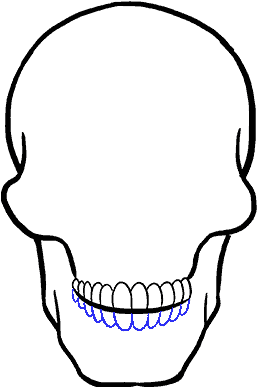 257x387 Hd How To Draw Skull And Crossbones