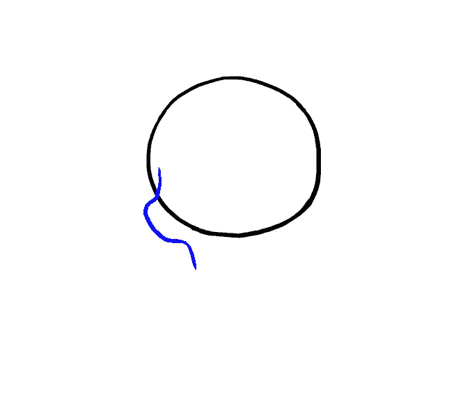 678x600 How To Draw A Skull Step