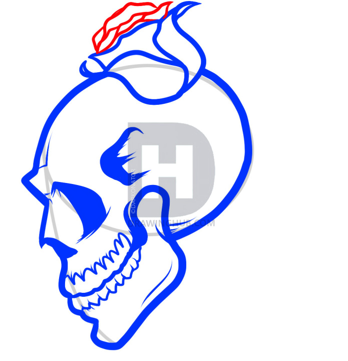 695x720 How To Draw A Skull And Roses, Skull And Roses, Step