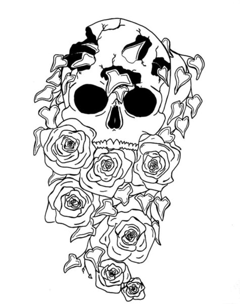 Skull And Rose Drawing | Free download on ClipArtMag