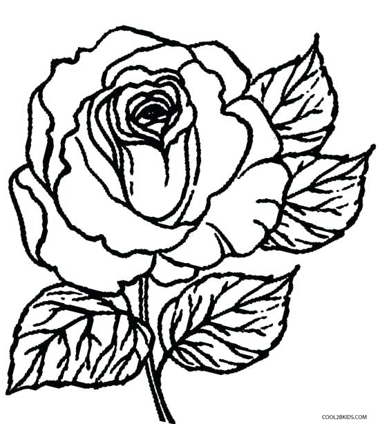 550x614 Skulls And Roses Drawing Coloring Pages Rose Skull For Adults