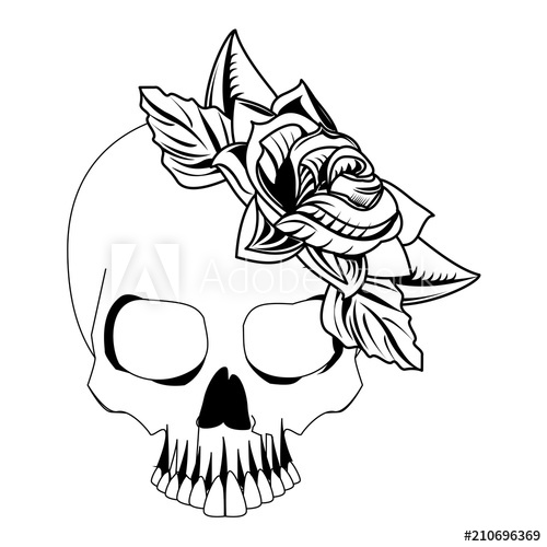 500x500 Tattoo Skull With Flowers Drawing Vector Illustration Graphic