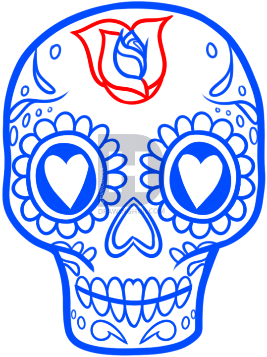 539x720 How To Draw A Sugar Skull Easy, Step