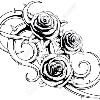 336x336 Rose Drawings Tags Creative Drawings Cow Skull Crayon Rose Bush