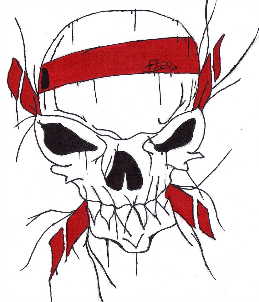 828x966 Skull With Bandana