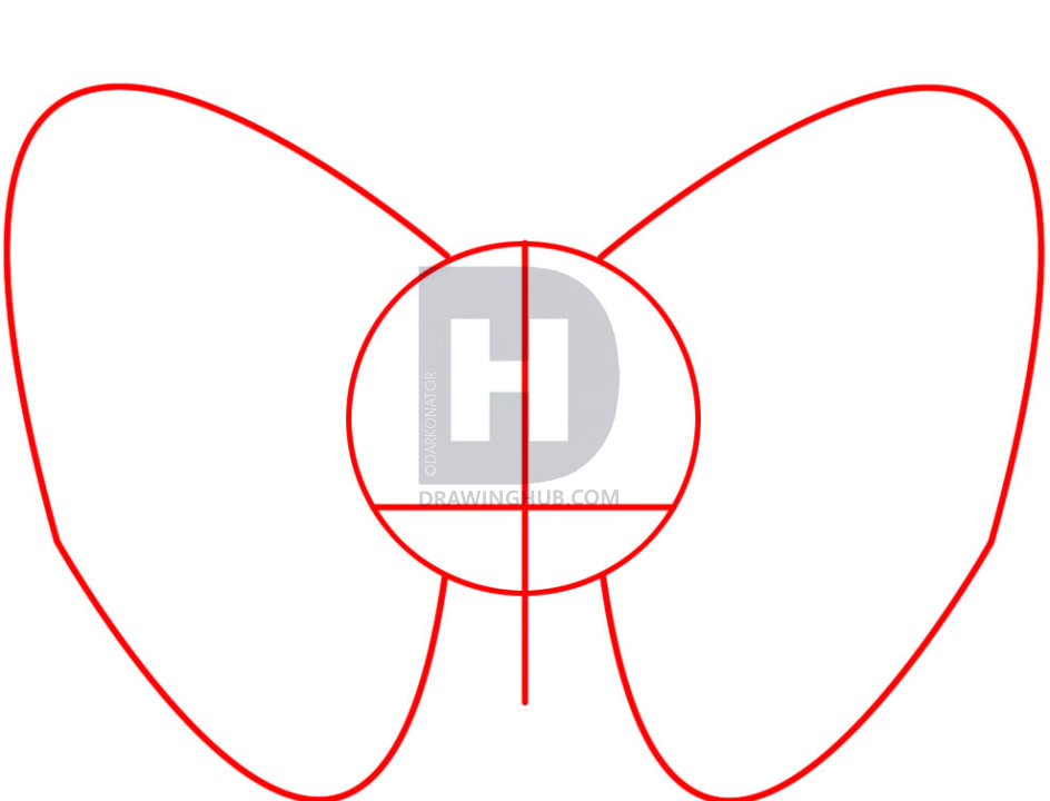 944x720 How To Draw Butterfly Skull, Step
