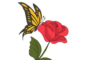 300x200 How To Draw A Butterfly On A Flower