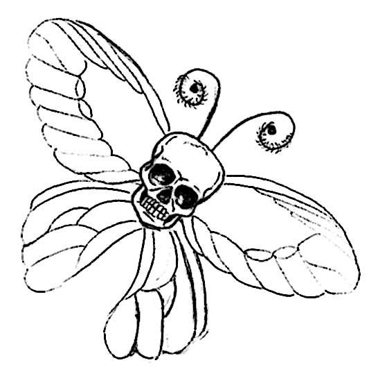 533x552 Skull With Butterfly Creative Commons Attribution Noncommercial