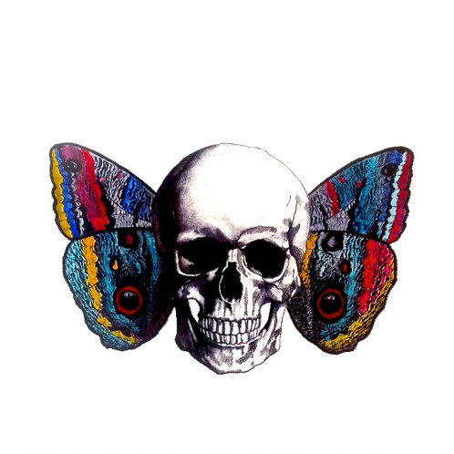 498x498 Butterfly Skull