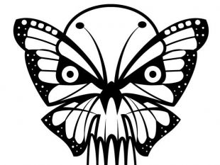 310x233 Butterfly Skull Vector Art Free Vectors Ui Download