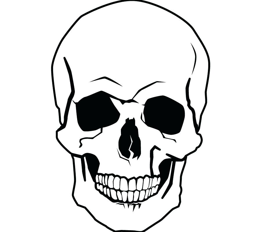 900x800 skull coloring book drawing human skull coloring book skull