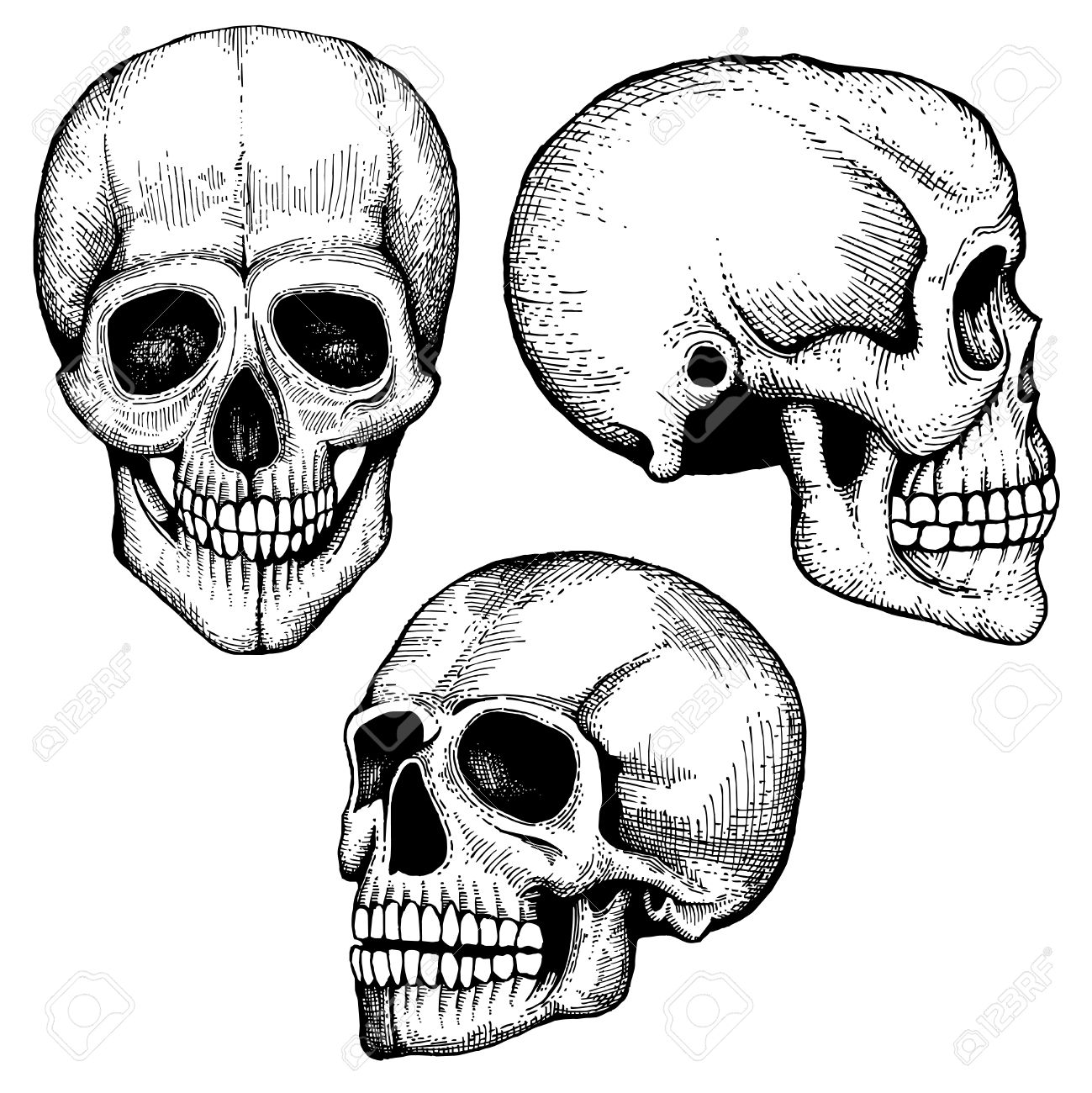 1299x1300 Death Clipart Skull Drawing