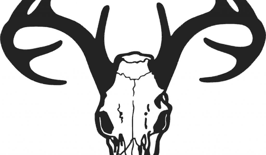 1024x600 Drawing Of Skulls Easy This Is Best Deer Skull Clip Art Deer