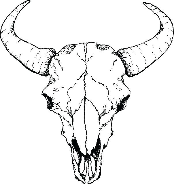 604x640 Easy To Draw Skulls