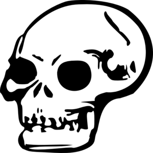 300x300 Skull Drawing Clip Art