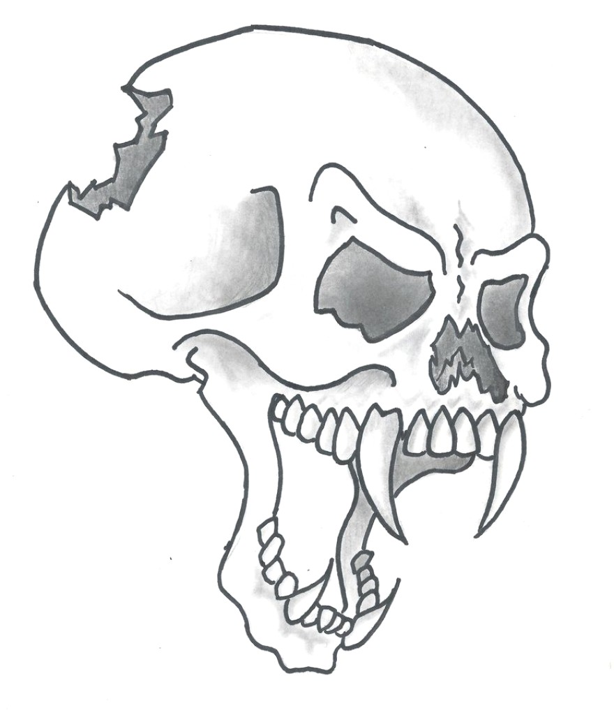 880x1024 Skull Drawing Easy